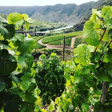 Moselhaus Отель типа 