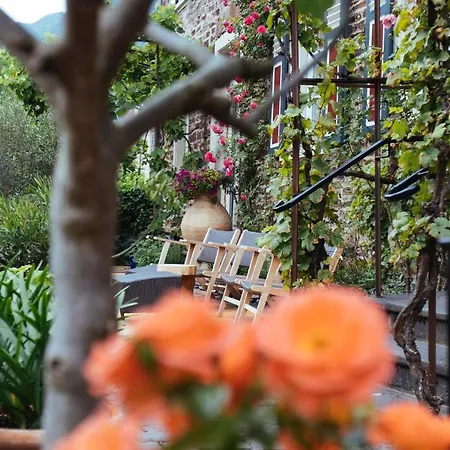 Bed & Breakfast Moselhaus