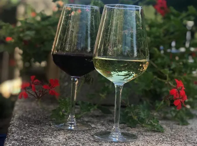 Moselhaus Bed and Breakfast