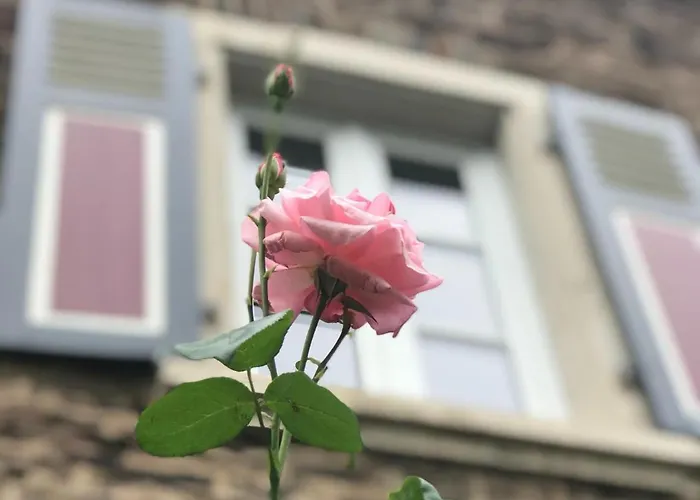 Moselhaus Bed and Breakfast Ediger-Eller