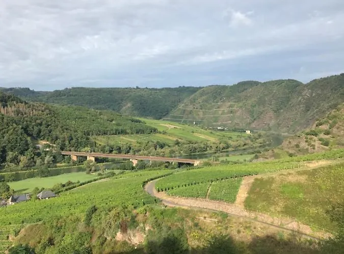 Bed and Breakfast Moselhaus Ediger-Eller