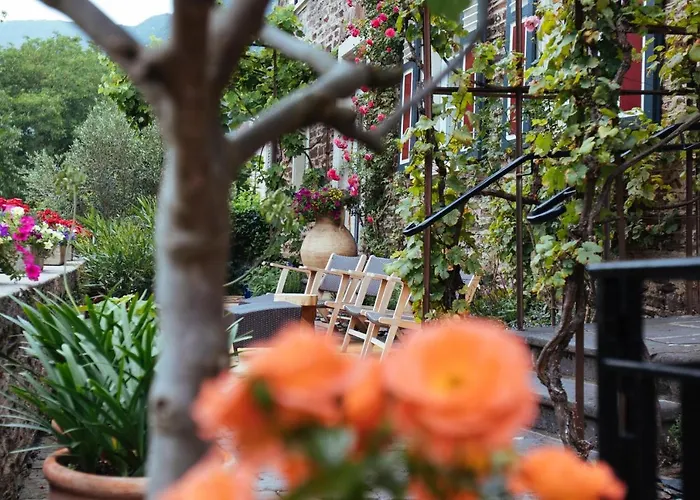 Bed and Breakfast Moselhaus